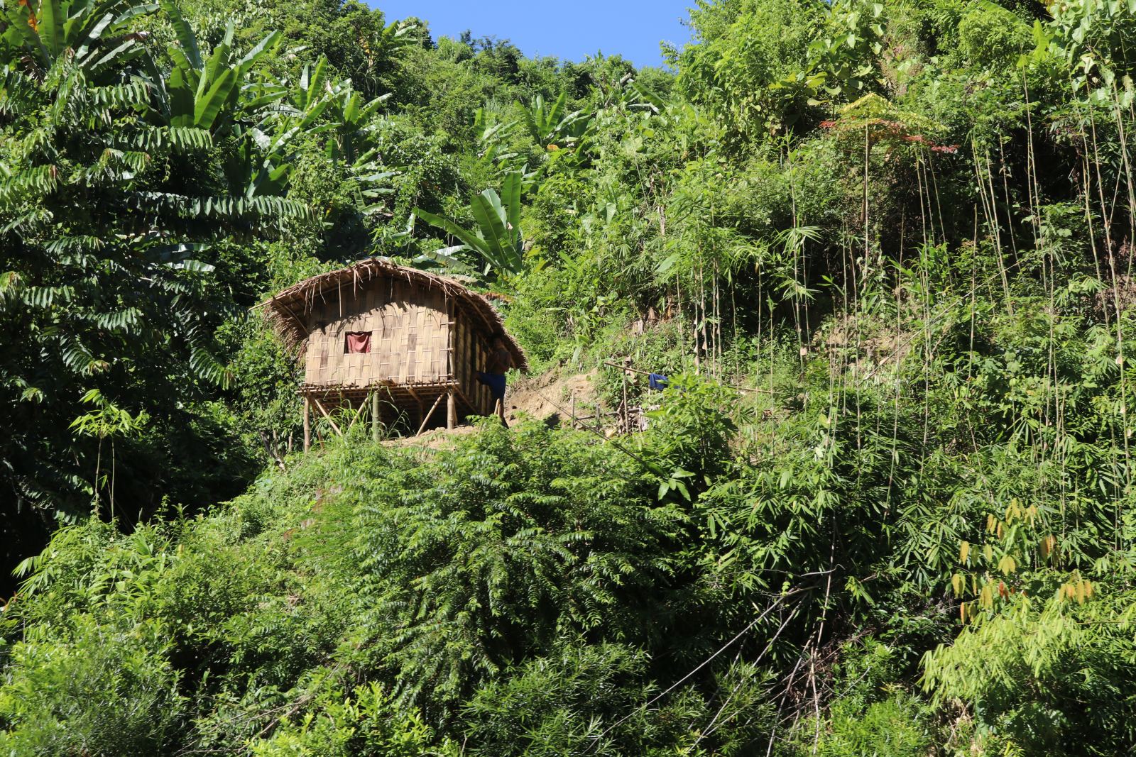 A Heritage Rooted in the Hills